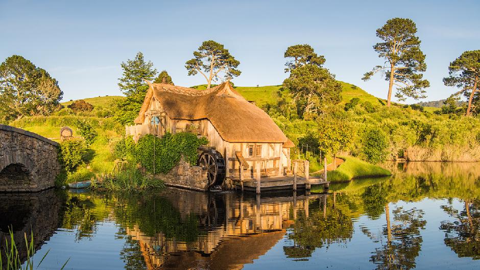 Experience the world-famous Lord of The Rings Hobbiton Movie Set and the geothermal and Maori cultural wonders of Te Puia. A day tour including two of the top tourist attractions in the North Island.