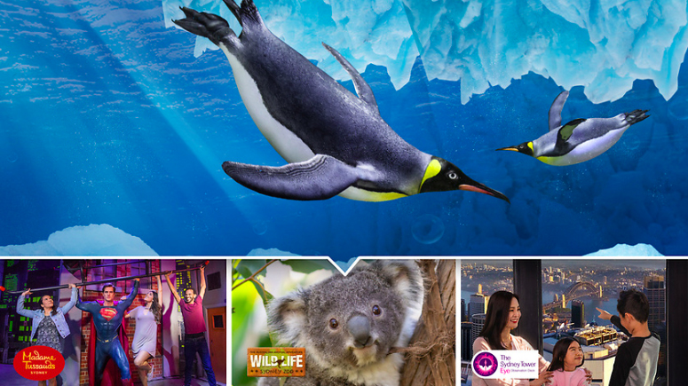 Combine Sea Life Aquarium and any other 2 Sydney attractions and save. See the best Sydney attractions under one flexible ticket!