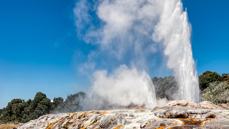 Experience the world famous geothermal and Maori cultural wonders of Te Puia. This unforgettable tour combines natures power and beauty with Maori culture all in one day.