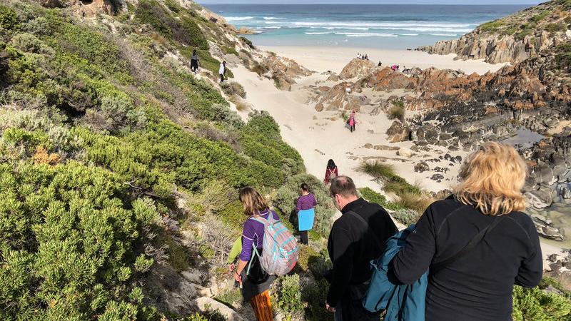 Let us show you the BEST of Kangaroo Island with its abundant wildlife, majestic scenery, and amazing activities on our fantastic two-day tour...