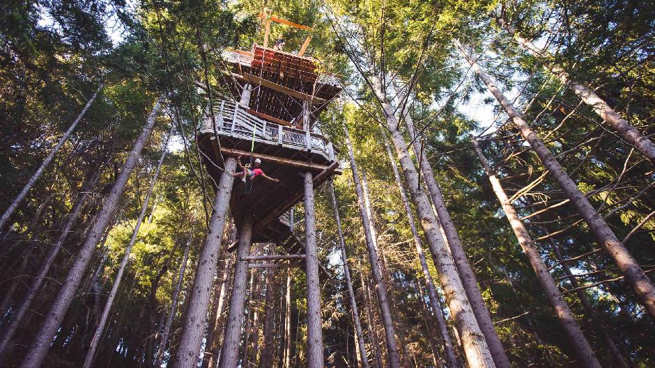 Glide among the tree-tops on 2 breath-taking ziplines while soaking up stunning panormaic views on New Zealand's No.1 Zipline Tour!


