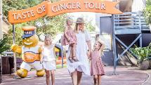 Ginger Factory and Nutworks Return Bus Transfer: Noosa and Sunshine Coast