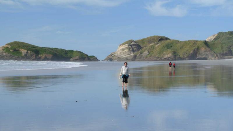 Explore stunning scenic locations around Tasman including Golden Bay -  the number one on every Tasman "to do list", as well as "Farewell Spit" on this amazing full day adventure...