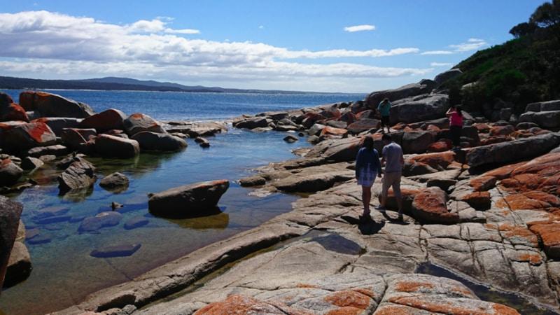 Experience one of Tasmania’s most stunning coastal locations. This full-day small-group tour takes you to all the best attractions, including an oyster tasting at a local oyster farm, a visit to a lavender farm, and spectacular views of the bay, the Weldborough Pass, and Fingal Valley.
