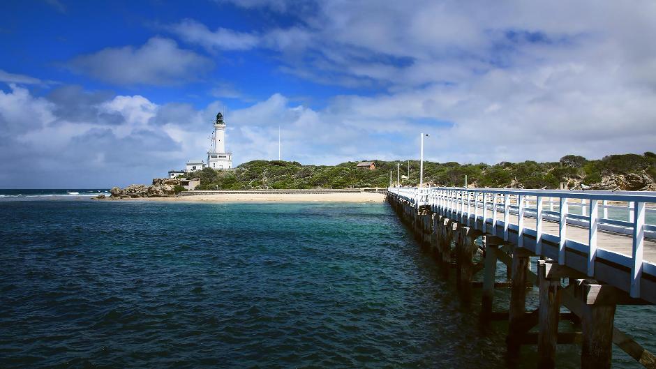 Take Melbourne's #1 Tour, designed by industry professionals to guarantee a perfect day out. Snorkel with the Seals & enjoy an additional snorkel at one of our famous historical locations in the Bay!