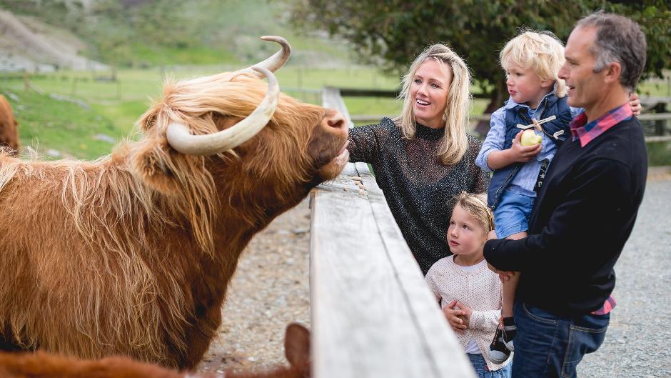 Experience a relaxing cruise on board New Zealand's iconic TSS Earnslaw and gain an insight into high country life with a tour of Walter Peak High Country Farm.