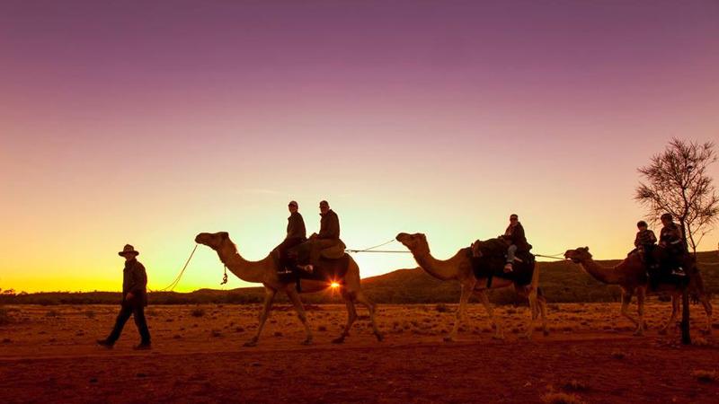 Experience the majestic beauty of Australias Red Centre as you ride by camel back through the Australian Outback at sunset…