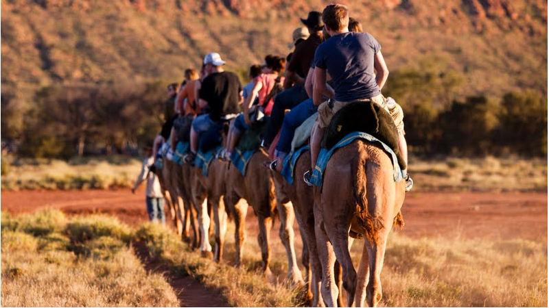 Experience the majestic beauty of Australias Red Centre as you ride by camel back through the Australian Outback at sunset…