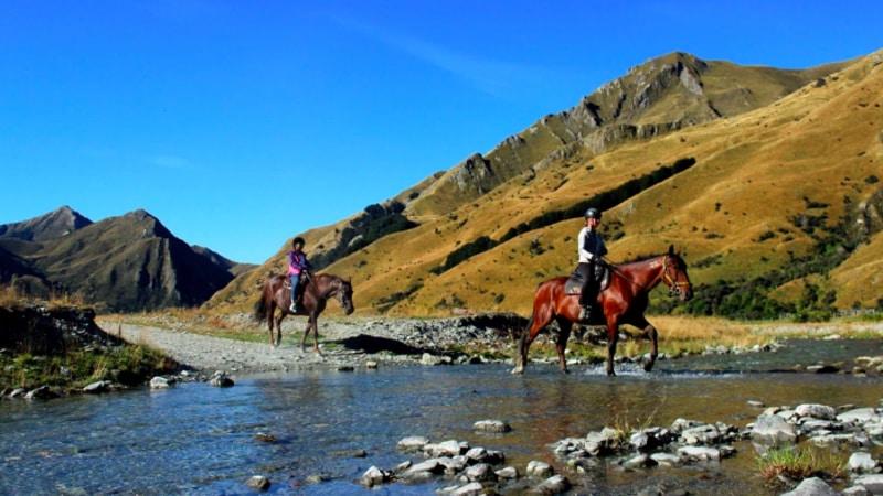 Take our beautiful horses out for a trek through the scenic valley's of Gills Creek, just 20 minutes from central Queenstown. 