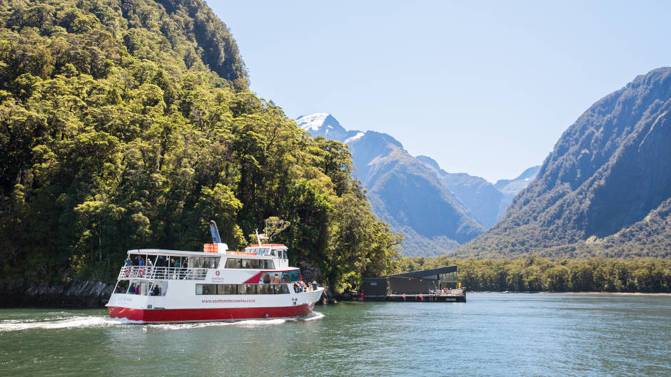 Spend longer in Milford and witness spectacular wildlife on the ultimate, all-inclusive day trip from Te Anau!