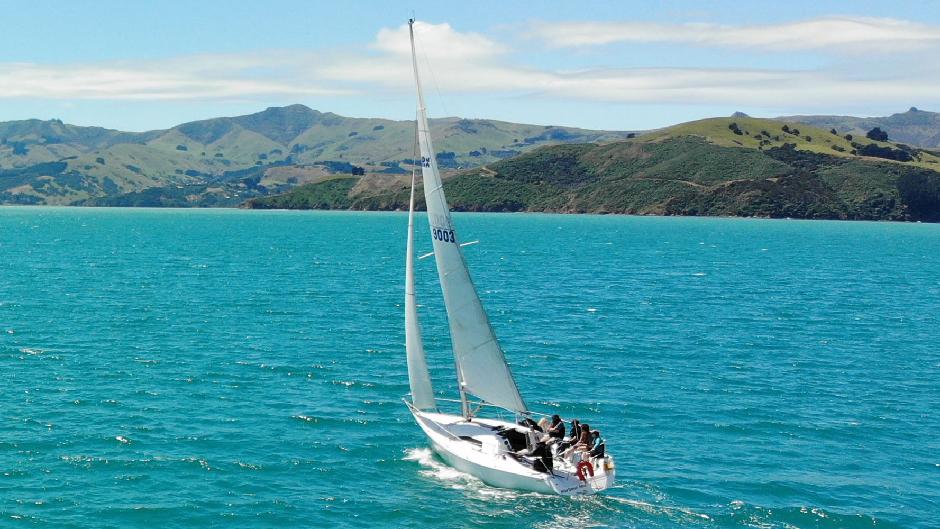 Join Southern Wanderer for an unforgettable early morning or midday cruise along Akaroa's picturesque Banks Peninsula coast!
