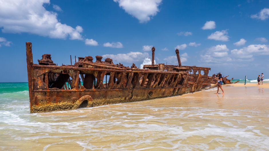 Discover why K’Gari (Fraser Island) is a World Heritage treasure and a favourite spot for travellers! With ancient, tall rainforests growing from sand, crystal-clear freshwater lakes perfect for swimming, and unique Australian wildlife, K’Gari (Fraser Island) is a wonder you won’t want to miss.