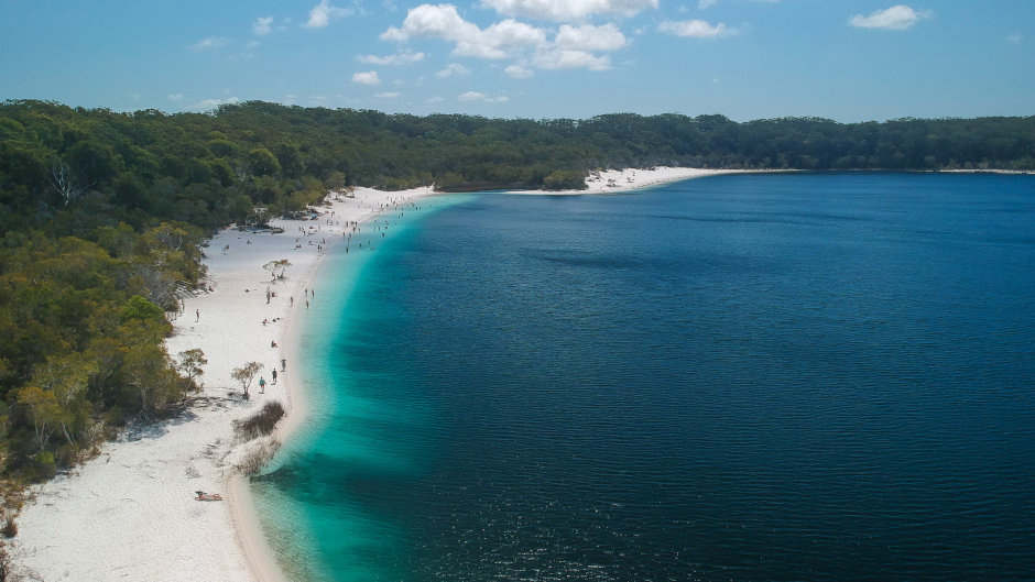 Discover why K’Gari (Fraser Island) is a World Heritage treasure and a favourite spot for travellers! With ancient, tall rainforests growing from sand, crystal-clear freshwater lakes perfect for swimming, and unique Australian wildlife, K’Gari (Fraser Island) is a wonder you won’t want to miss.