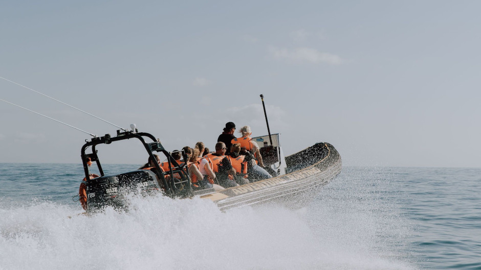 Hold on tight as you power through the ocean and experience thrilling, high speed turns in our 350 horsepower boat!