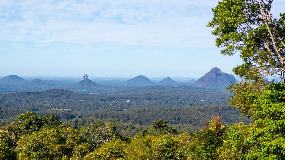 Come and experience the Sunshine Coast’s majestic Hinterland on an epic small group tour that showcases the natural beauty this area has to offer!
