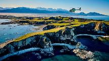 Whale Watching Flight with Coastal Mountain Landing - Kaikoura - South Pacific Helicopters