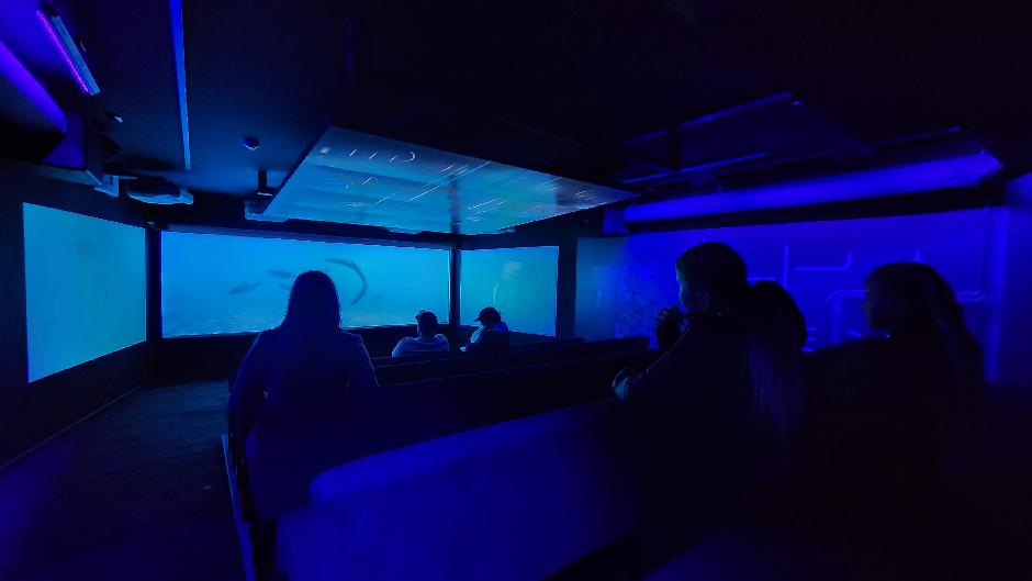 Take an immersive journey back in time and explore Queenstown as it was 90 million years ago! Head under Lake Wakatipu to our new underwater experience Time Tripper!