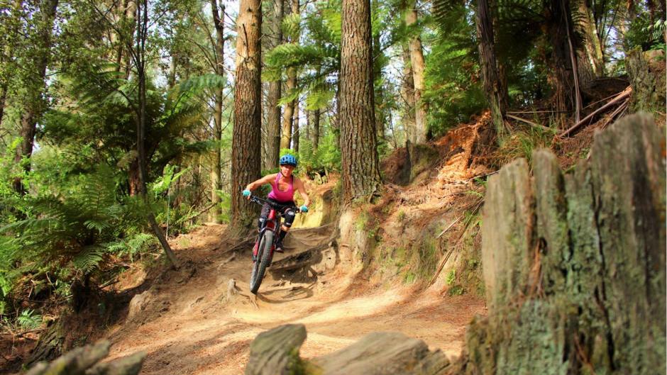 Strap on your adventure pants for a full day of self-guided electric mountain biking adventures!