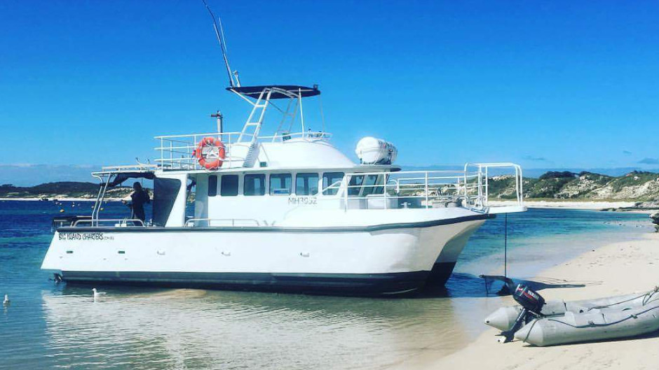 Submerge yourself in the warm waters of the Gold Coast at the Cook Island dive site on this guided snorkel tour where you will encounter a colourful array of marine life.