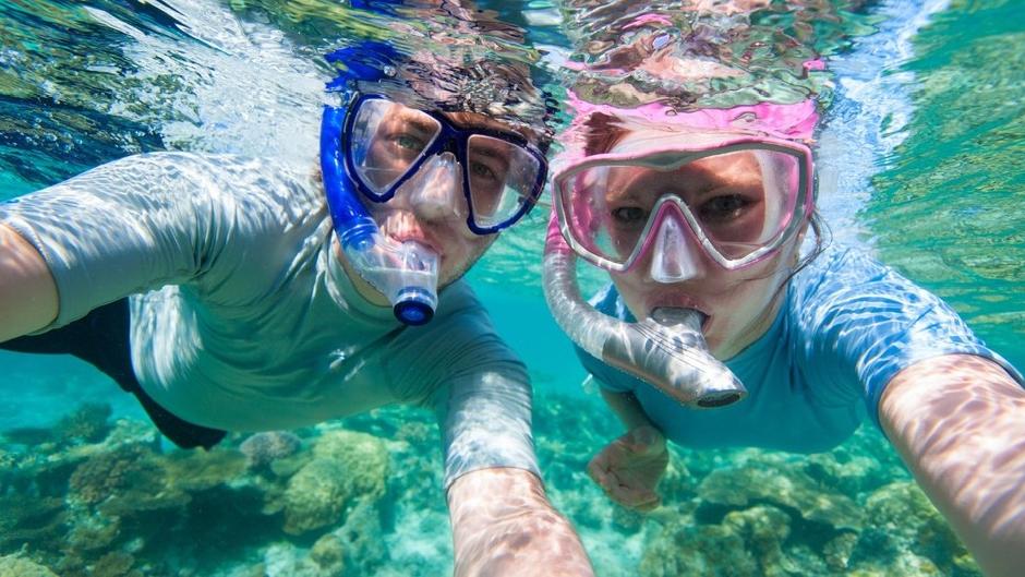 Submerge yourself in the warm waters of the Gold Coast at the Cook Island dive site on this guided snorkel tour where you will encounter a colourful array of marine life.