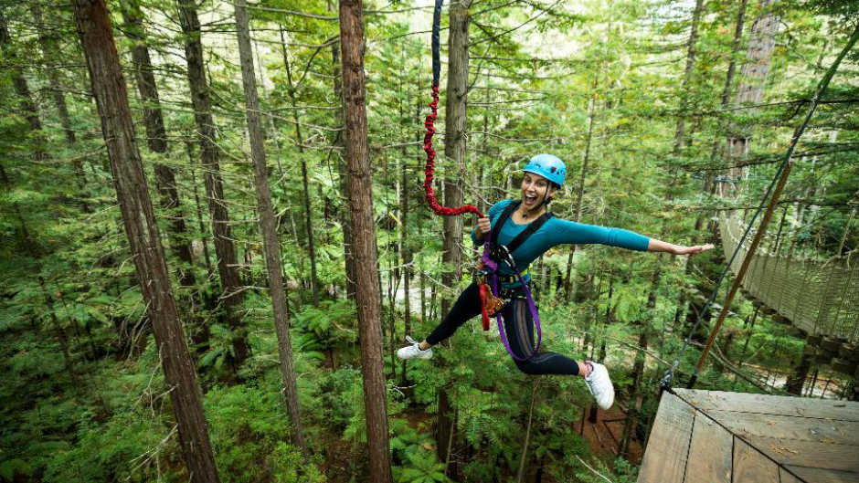 Experience the magic of the Redwood Forest from 25 meters high on our exhilarating Altitude walk.