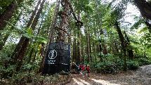 Family Pass: Redwood Forest Altitude Experience