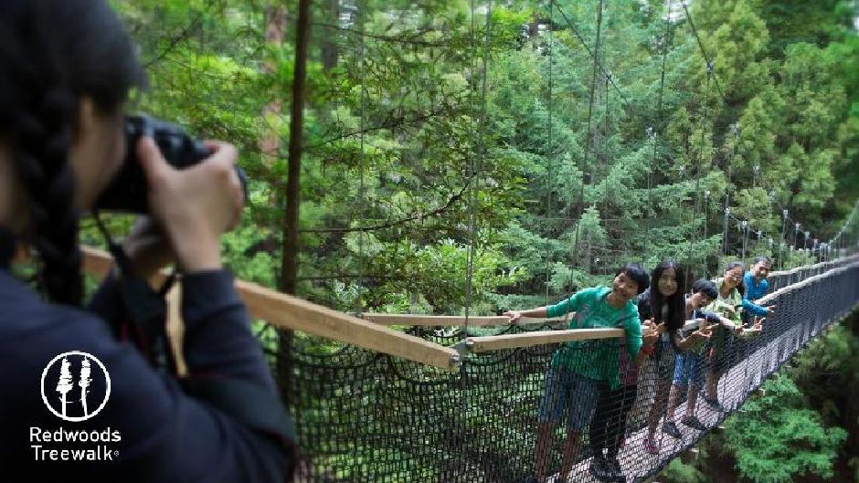 *** 2 EXPERIENCES FOR THE PRICE OF ONE - SAVE UP TO $37! *** 
Discover the amazing Redwoods Treewalk by day and night!