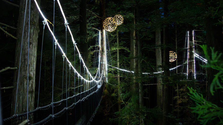 Enjoy both day and night for a uniquely immersive experience at NZ's longest living Treewalk!