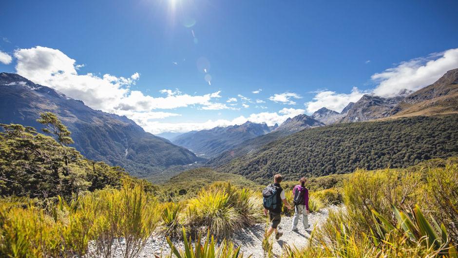 Experience the stunning beauty of Milford Sound and the Fiordland wilderness on our full-day tour with our long term local family tour business. 
