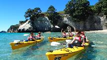 Cathedral Cove Classic Tour - Cathedral Cove Kayak Tours