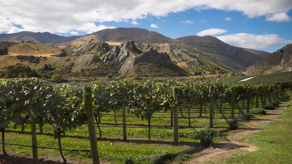 Experience Queenstown the way you want with a private customised tour.