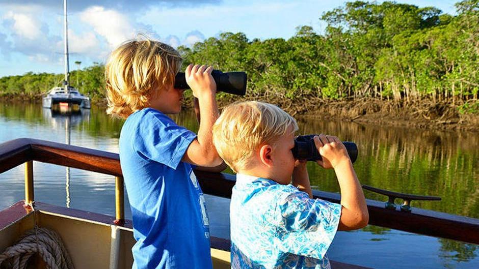 Discover crocodiles, fascinating wildlife, and spectacular scenery on board the Lady Douglas Cruise around the mangroves of Port Douglas!


