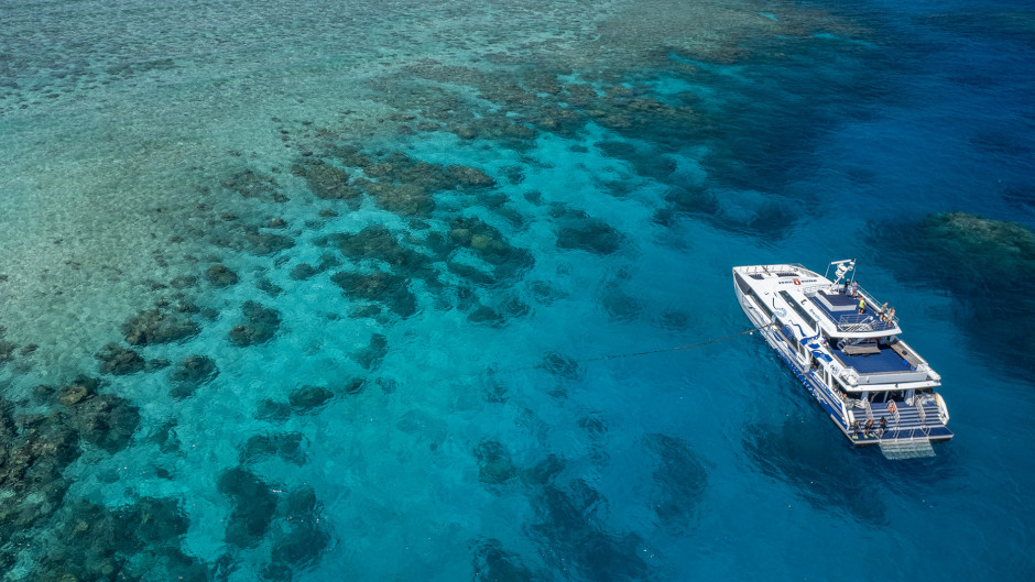 Enjoy an unforgettable Great Barrier Reef snorkel day trip from Cairns with the local experts at Divers Den.