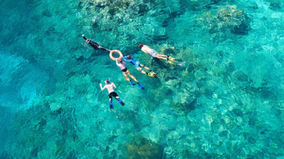 Experience the underwater wonders of the Great Barrier Reef with the team aboard AquaQuest! Spend the day aboard one of the most modern boats in the Cairns fleet and spend the day in comfort.