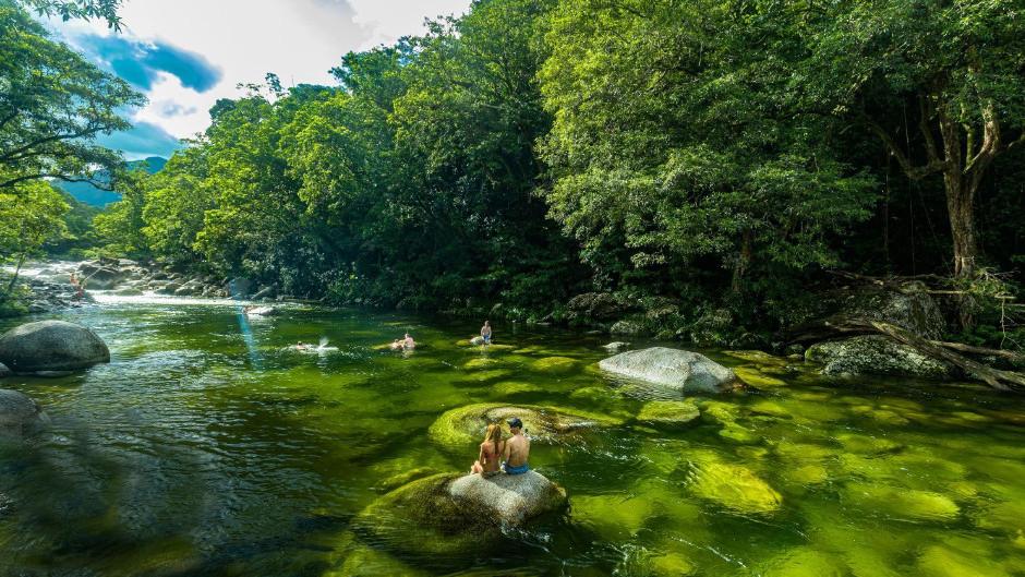 Daintree, Mossman Gorge and Wildlife Tour