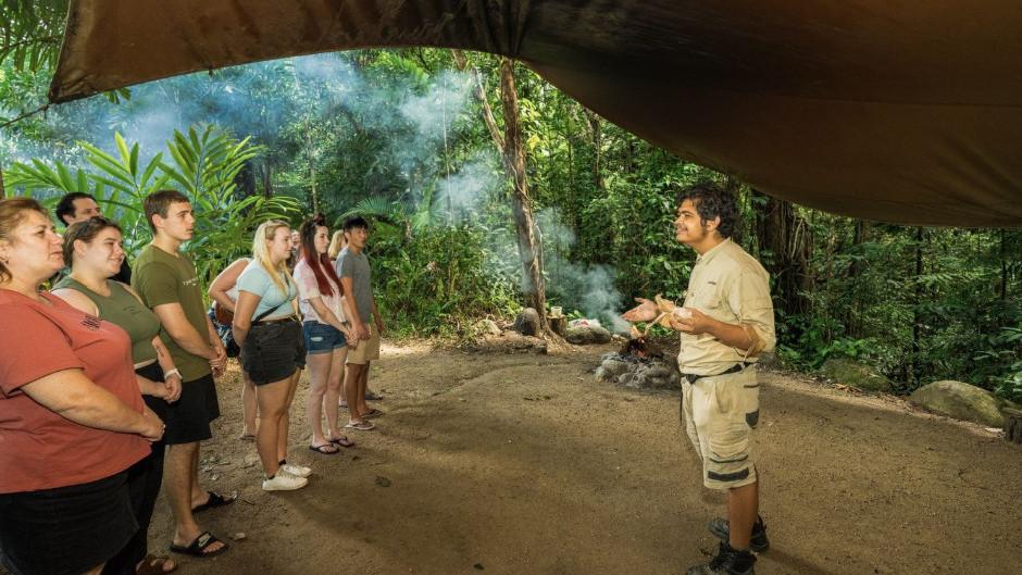 Experience the best of the Daintree and Mossman Gorge with a full-day adventure that combines sustainable travel and wildlife exploration! 