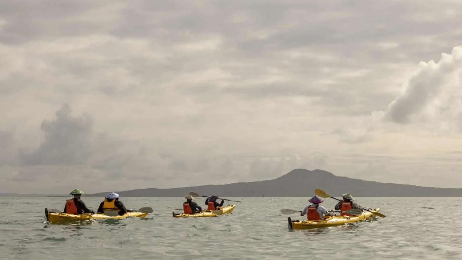 waiheke island sea kayak tour