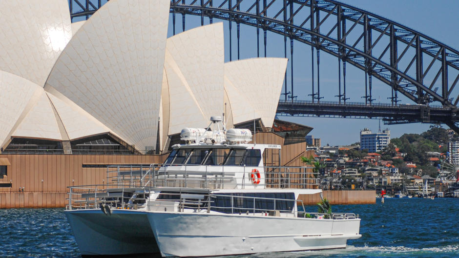 Set sail on a whale watching adventure and experience these gentle creatures up close and personal. Join Sydney Harbour Whale Watching to be in the midst of the excitement.
