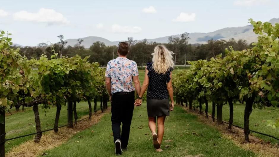 Brisbane Pineapple Tours - Mount Tamborine Winery Tour