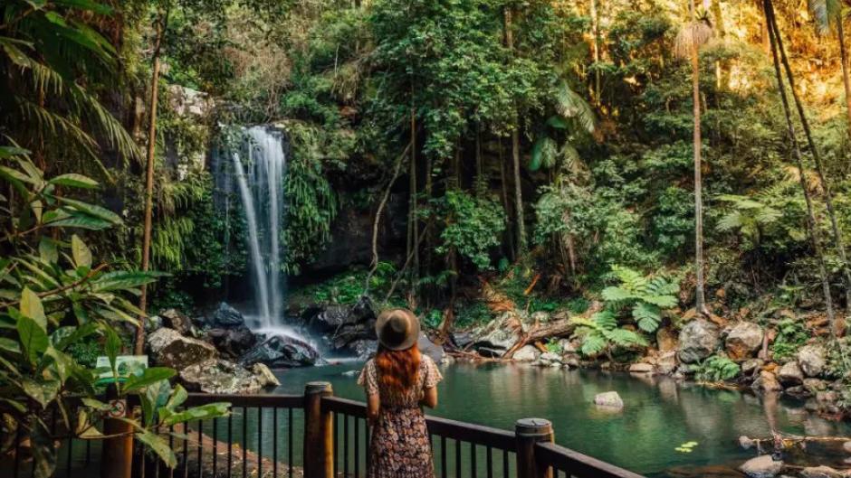 Embark on a daily adventure from the Gold Coast to the stunning Tamborine Mountain with the Hop on Hop Off Bus! 