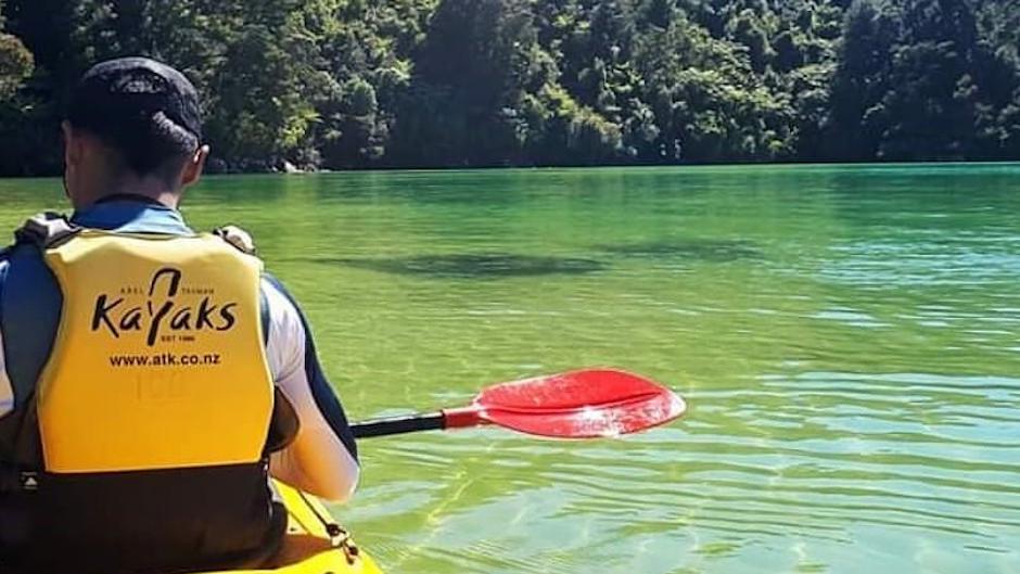 Abel Tasman Guided Kayak