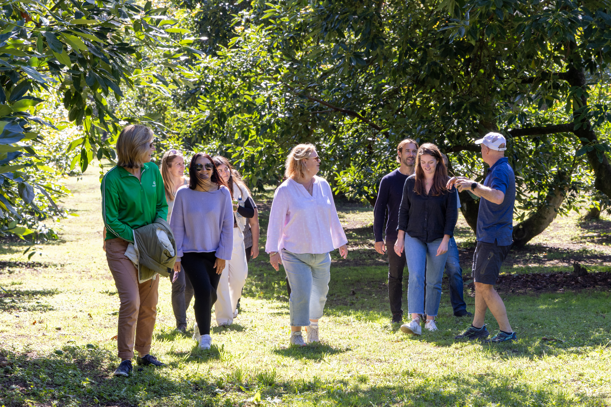 Avocado Tours NZ