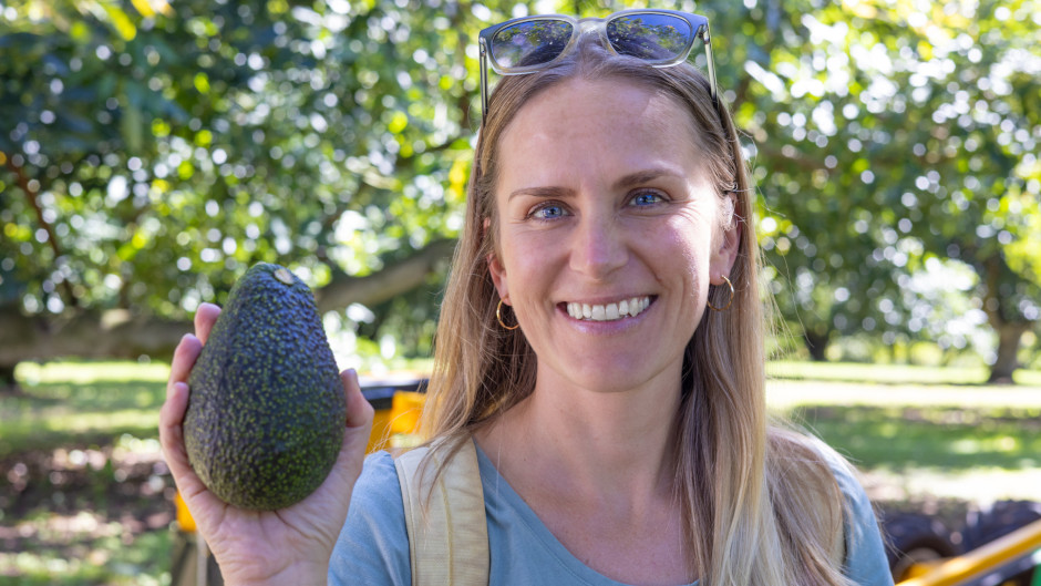 Join the grower on an avo-licious aventure and dive into the world of all things avocado!