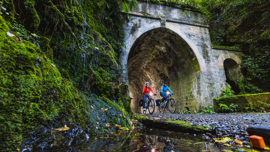 Discover Kaitoke and take your adventure to new heights through Remutaka Cycle Trail with this e-bike hire!