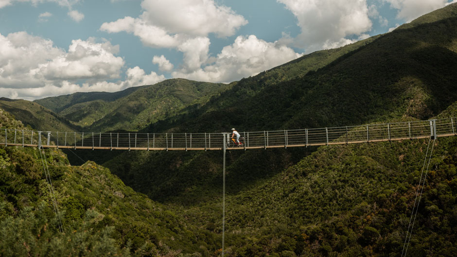 Take your adventure to new heights through Kaitoke's Remutaka Cycle Trail riding a modern mountain bike!