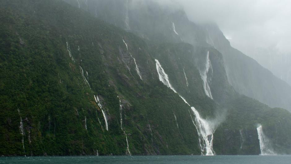 Enjoy an exclusive, personalised tour to Milford Sound for two or three people!