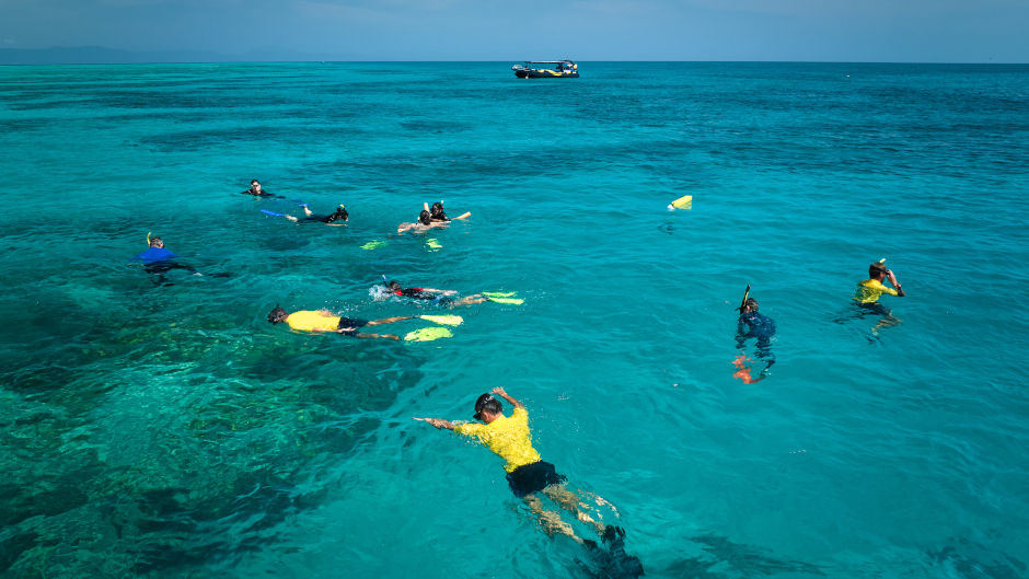 Snorkel the breathtaking Upolu Reef on a thrilling small-group adventure with a fast 'Mad Max' boat, expert guide, and snacks included!