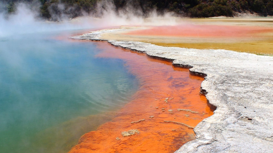 Discover the magic of Rotorua on a full-day adventure from Auckland to the geothermal wonders, lush forests, and rich history!