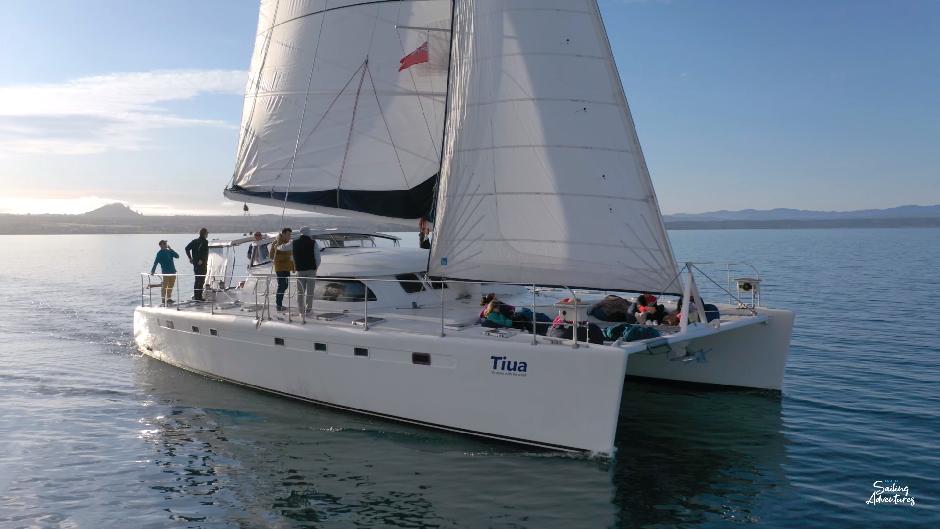 Welcome to Taupo Sailing Adventures, where luxury meets adventure in the heart of New Zealand's North Island.
Combine an eco friendly sailing experience with the comfort of an all-weather boat.