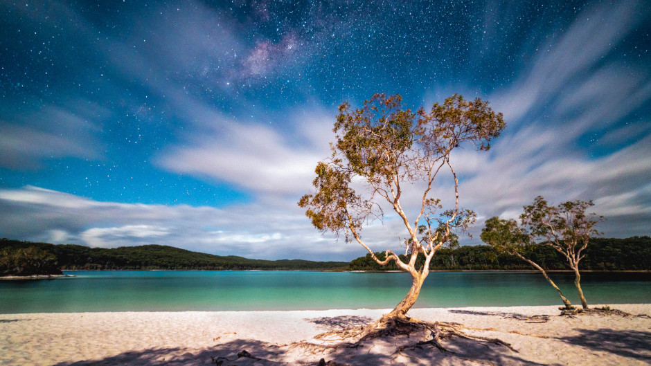 Discover why K’Gari (Fraser Island) is a World Heritage treasure and a favourite spot for travellers! With ancient, tall rainforests growing from sand, crystal-clear freshwater lakes